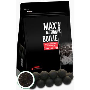 Haldorado - Max Motion Boilie Long Life - Champion Corn, 24mm, 800g